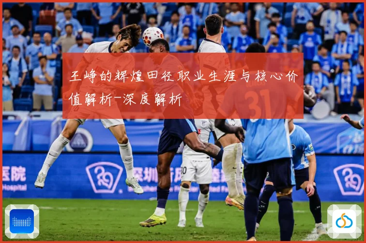 王峥的辉煌田径职业生涯与核心价值解析-深度解析